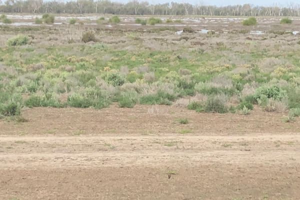 Photo by Christine W.