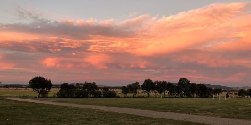 Photo by Brucethegoose