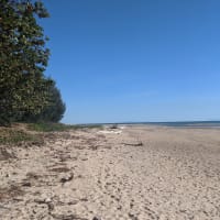 Photo by Corrinne A.