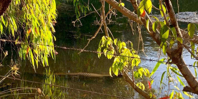 Photo by Corporate to Caravan