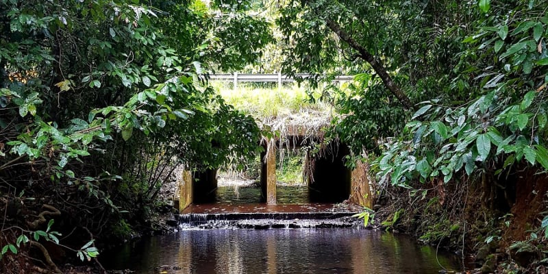 Photo by My Rig Adventures