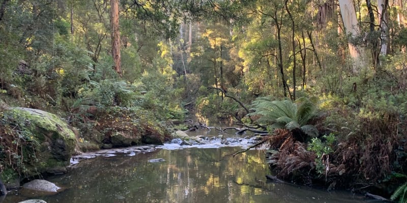 Photo by Brooklyn E.