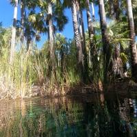 Photo by Colin van den Hoff