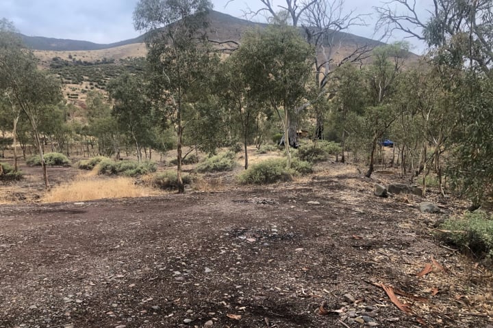 Photo by Billie-jade S.