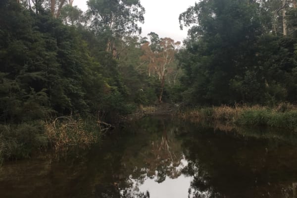 Photo by YoungAdventuresAust