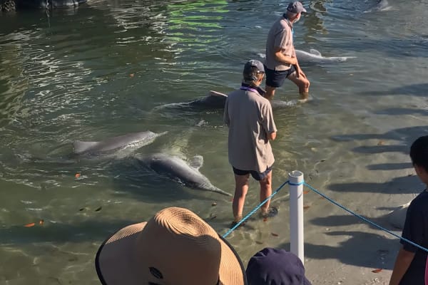 Photo by Brayden Tarj n Aylah Wilson