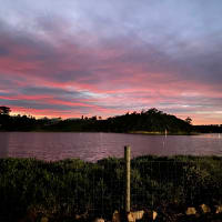 Photo by Elizabeth L.