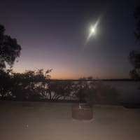 Photo by Michelle S.