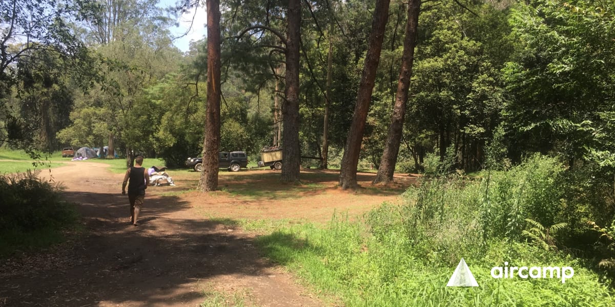 Coachwood Camping Area
