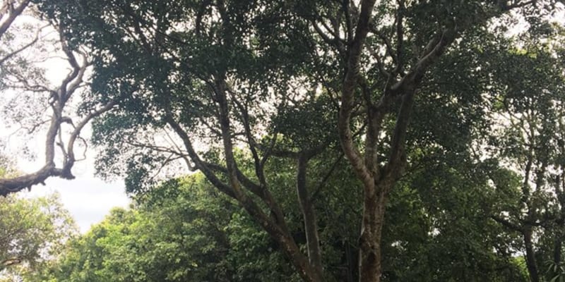 Photo by Michelle L.