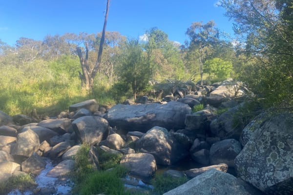 Photo by Stephanie K.