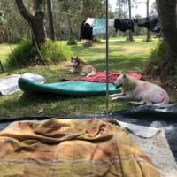 Photo by Jodie Roadster Campny