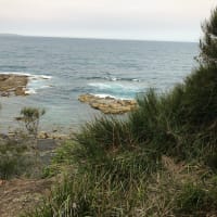 Photo by Benjamin A.