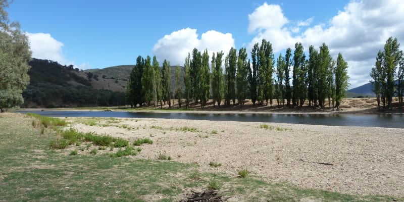 Photograph of Top 10 campsites for fishing near Wantagong, NSW