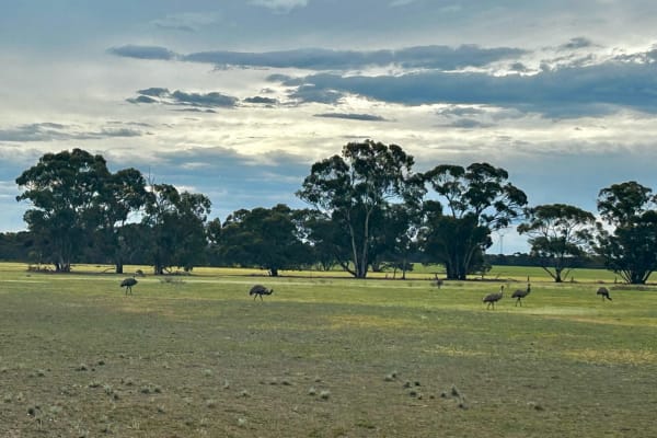 Photo by Chelsea and Jye