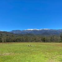 Photo by Courtney  Krause