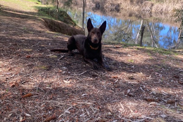 Photo by Federico s.