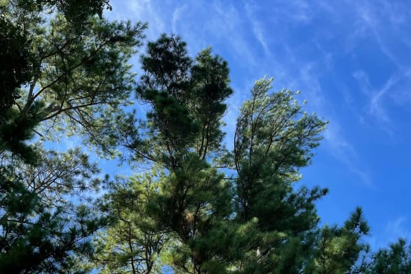 Photo by Ben + Elana