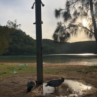 Photo by _haere.ki.waho_