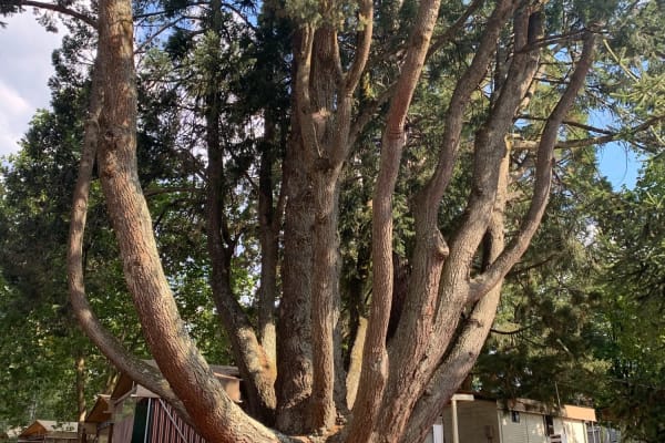 Photo by Kerri-lee M.