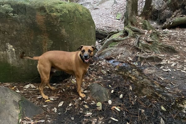 Photo by Stephanie K.