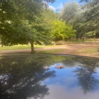 Photo by HomeIsWhereWeParkIt