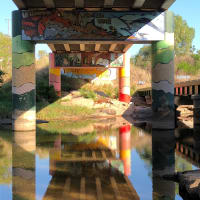 Photo by Marcia Christine Baker