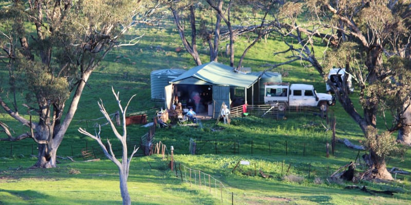 Photo of Catninga Hut