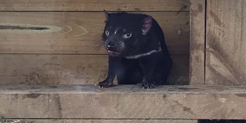 Photo by The blonde nomads