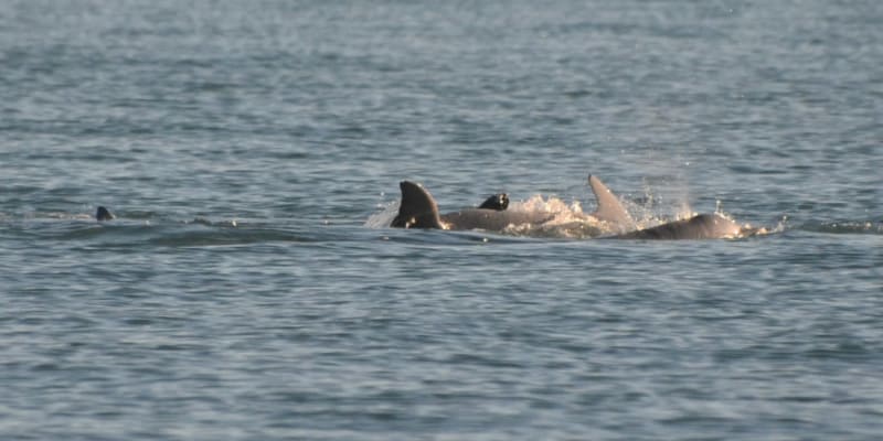 Photo by @ode2theroad