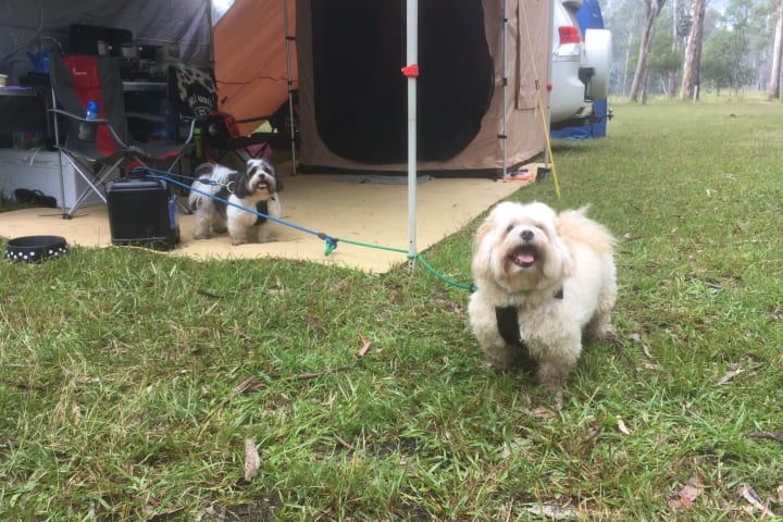 Photo by Mitchell H.