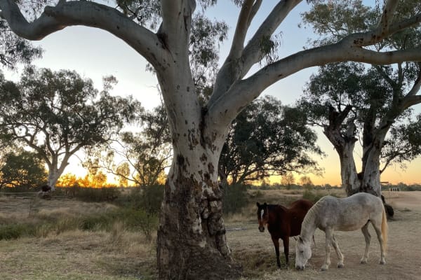 Photo by Happy Hour Hunters