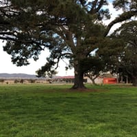 Photo by Brucethegoose