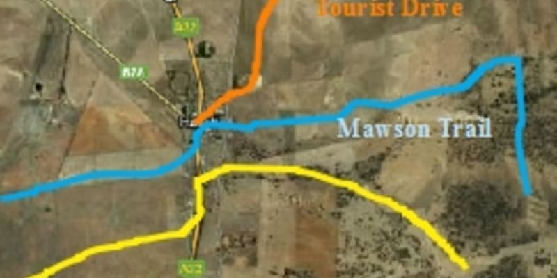 Photo by Kristine P.