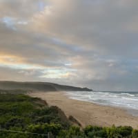 Photo by Elizabeth L.