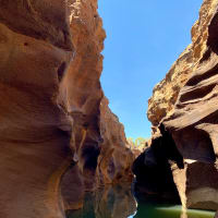 Photo by Corporate to Caravan