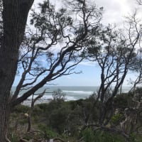 Photo by Jennifer J.