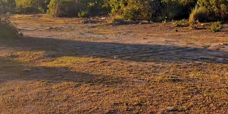 Photo by Helen de la Perrelle