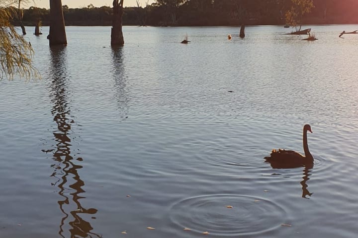 Photo by Kimberley R.