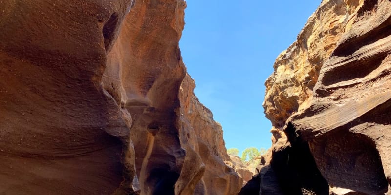 Photo by Corporate to Caravan