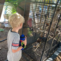 Photo by Corporate to Caravan