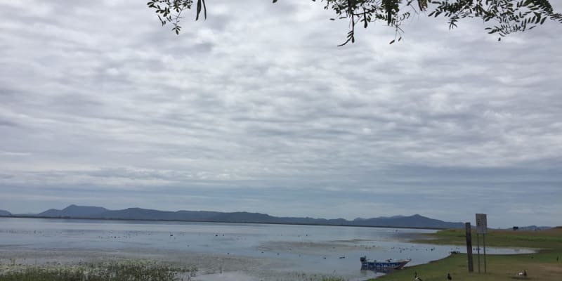 Photo by Theresa N Jason Brown