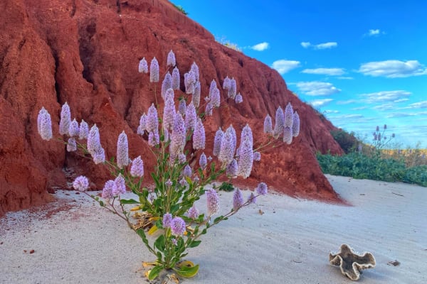 Photo by Shona Lisa Malone