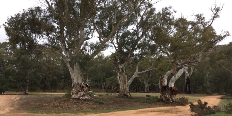 Photo by Francesca S.