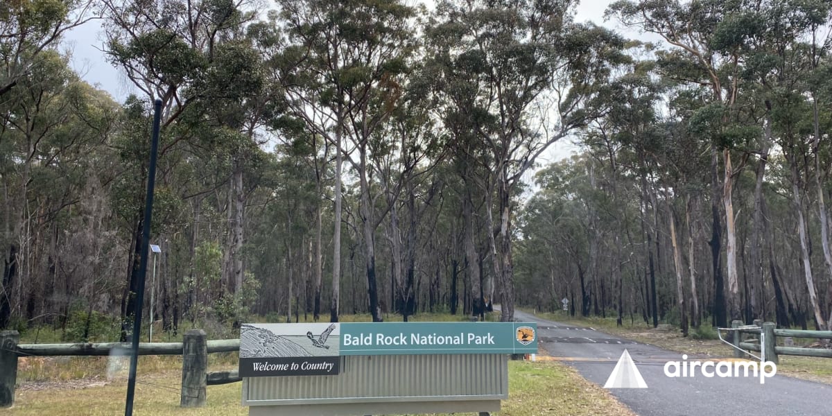 Bald Rock Creek Camping Area