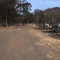 Photo by Catherine M.