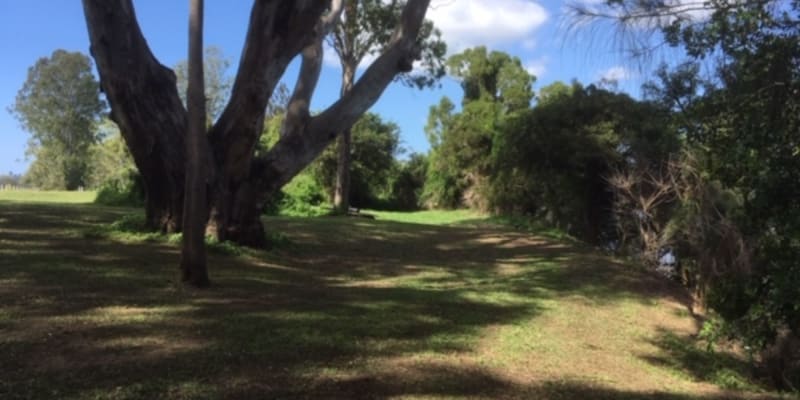 Photo by Michelle G.