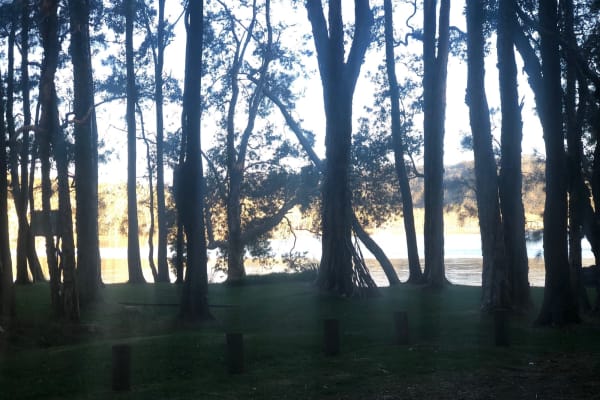 Photo by Courtney w.