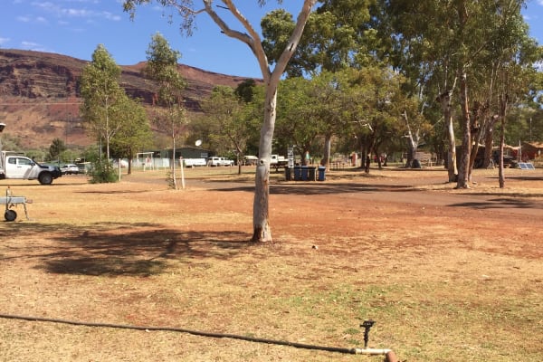 Photo by Kim & Shane