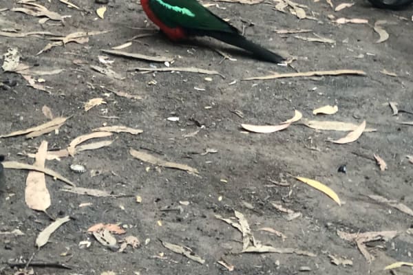 Photo by Melissa Nyadit Koth